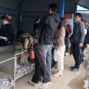 조금리시장2 이미지