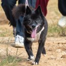 별빛쉼표 이미지