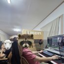 팡팡노래방 | 친구들과 가평 호명나루165에서 게임부터 노래방까지! (PC방 펜션 솔직 후기)