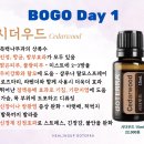 도테라힐링의집