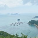 조개체험장  대죽 이미지