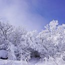 제98차 부산등산클럽 정기산행지 (전북,고창, 방장산 742.8m) 이미지