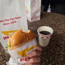 Natural Box | [미국 라스베가스 JMT 맛집] 인앤아웃 버거 &amp; 고든램지 피쉬앤칩스 추천 메뉴와 후기까지♥