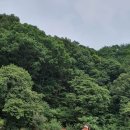 산여울민박 Daum카페