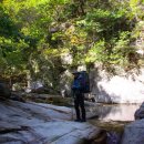 하루와이틀 이미지