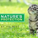 아지다펫 이미지