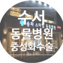 수서동물병원 이미지