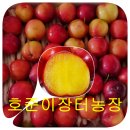 호준농장2 이미지