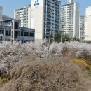 경안천로 이미지