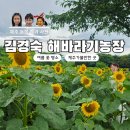 푸른농장해바라기 - 강서구 곰달래로 141 | 제주 김경숙 해바라기농장 해바라기 개화시기 입장료 수국 능소화 명소