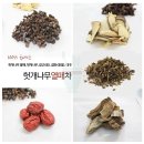 동아제약(주)중부지점 | 헛개나무 열매 수확시기와 관련한 농업 재배법 확인하기