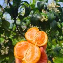 홍주상회 이미지