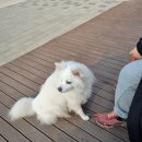 은계숲생태공원 화장실 이미지