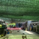 다다그루밍 이미지