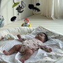 우성체육관 | 타이니러브 수더앤그루브 모빌 + 거치대 내돈내산 후기