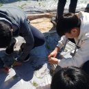 흥성농장 이미지