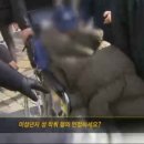 제명이 농장 이미지