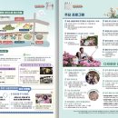 간선-67 | 2026 중랑 서울장미축제 완벽 정리 (공식 연예인 라인업·날짜별 프로그램 총정리)