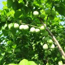 황재농장 이미지