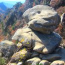 사고보세~유