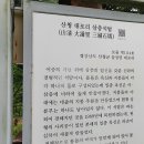 남수골 티스토리