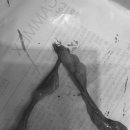 아랑동물병원 이미지