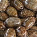 봉천한의원 이미지