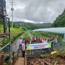 채희농장 이미지