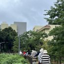 동홍동-20 | [서귀포걸어서한바퀴] 7월 20일 동홍동 옛돌담길 맨발걷기 후기