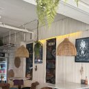 아담스타코 이미지