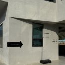 대동로2 | 김해 대동 반려동물 동반 카페 [카페대동숲] 솔직후기