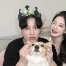끼끼마다 이미지