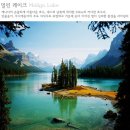 스카필드