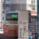 월영동250 이미지