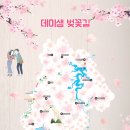백운면 벚꽃길 이미지