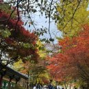 농협은행(주)영주시지부 | 가을엔 부석사에 가자