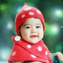 나무스튜디오 이미지