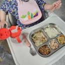 충주아사모 | 아기 반찬 걱정 끝! 충주 햇님반어린찬 [정기권 후기]