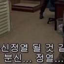 아리오 이미지