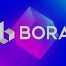 보라미디어 이미지