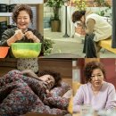 김해숙 카카오 검색결과