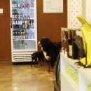 우소농장 이미지