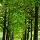 버들공원 이미지