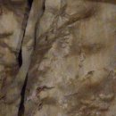 푸동이네 이발소 이미지