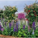 곡성-144 이미지