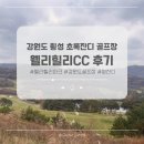 초록풍경 | 강원도 골프여행 추천 웰리힐리CC 남코스 후기 (초록잔디 라운드)