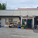 강동참가자미 이미지