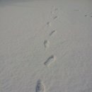 중천농장 이미지