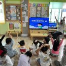 무궁화유치원 | 🌍중앙유치원 2025 거점유치원-마주봄! 구해봄! 지속해봄! 세계 서식지의 날🌱