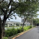 용인 이미지